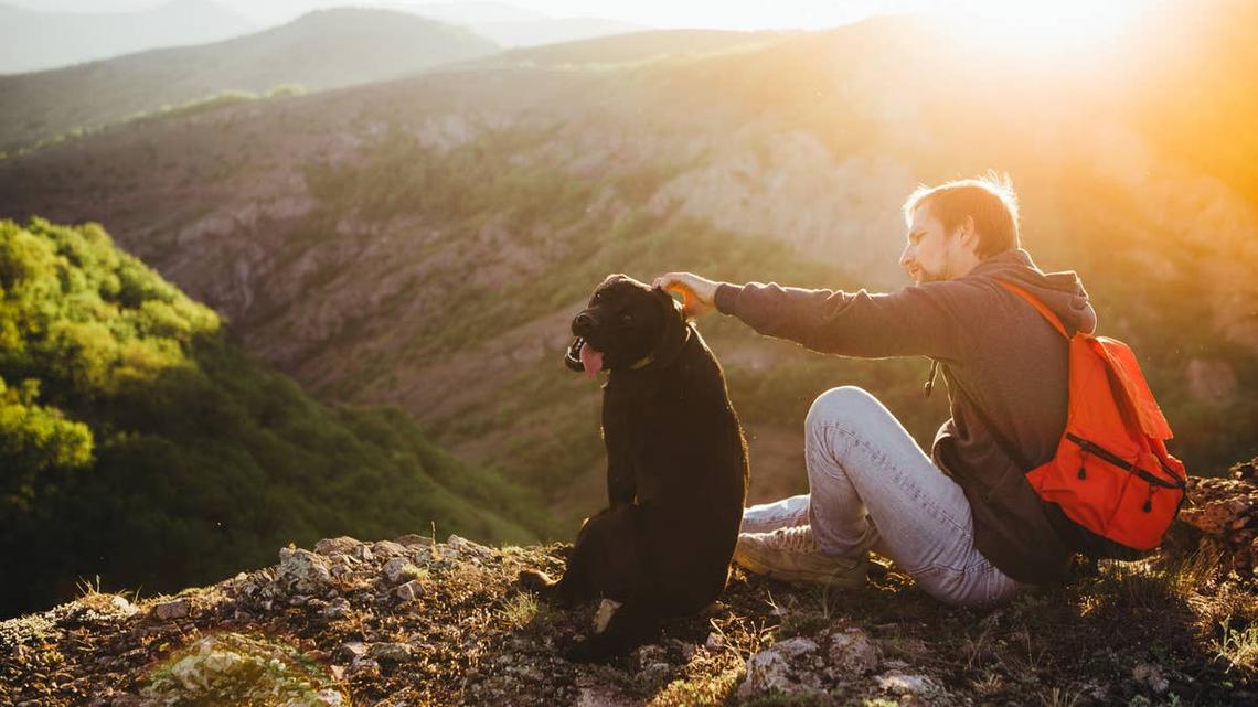 Sweet Dog's Hilarious Reaction to Carrying His Own Mess Is a Camping Must-See 