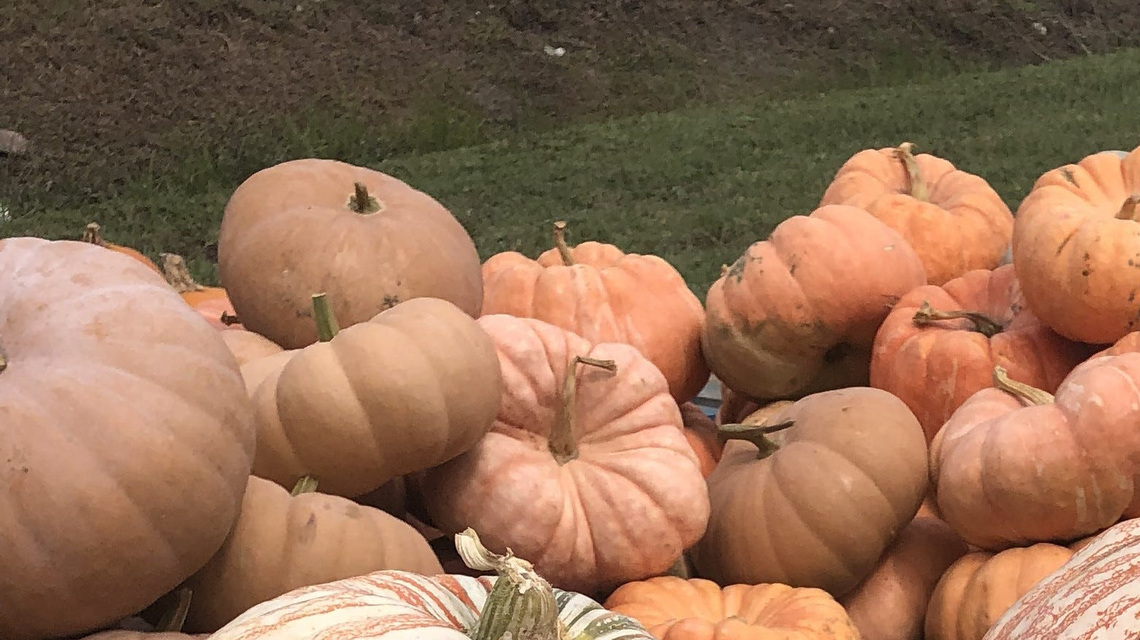 NC has some great fall produce. Put it to good use in your kitchen 