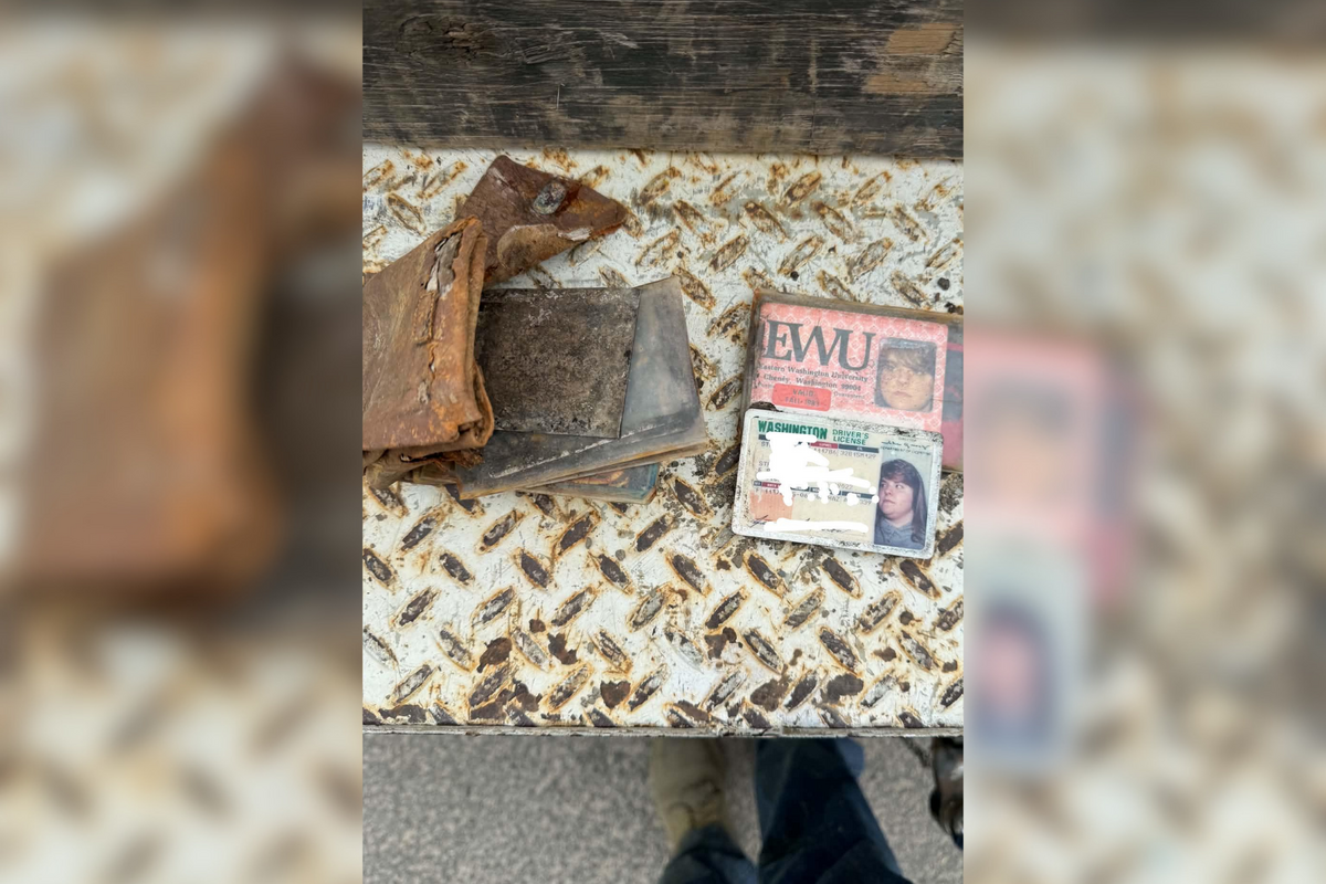  The wallet and ID cards found in 2026. 