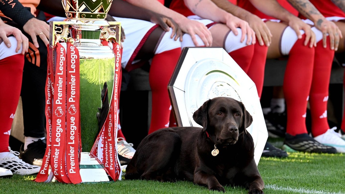 Arsenal's Official Team Dog 'Win' Steals the Show in the Club's Annual Squad Photo 