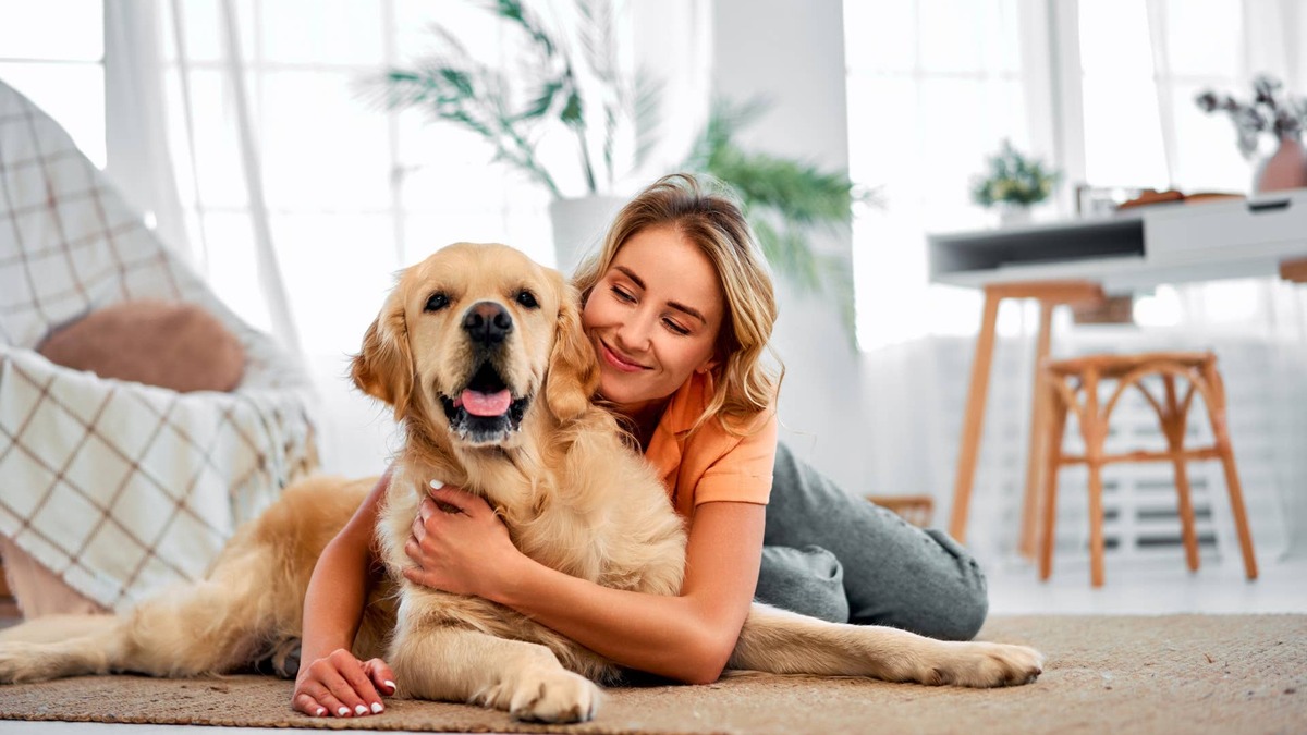 Golden Retriever Reunites With His Human Girlfriend and Leans His Head in for a Hug