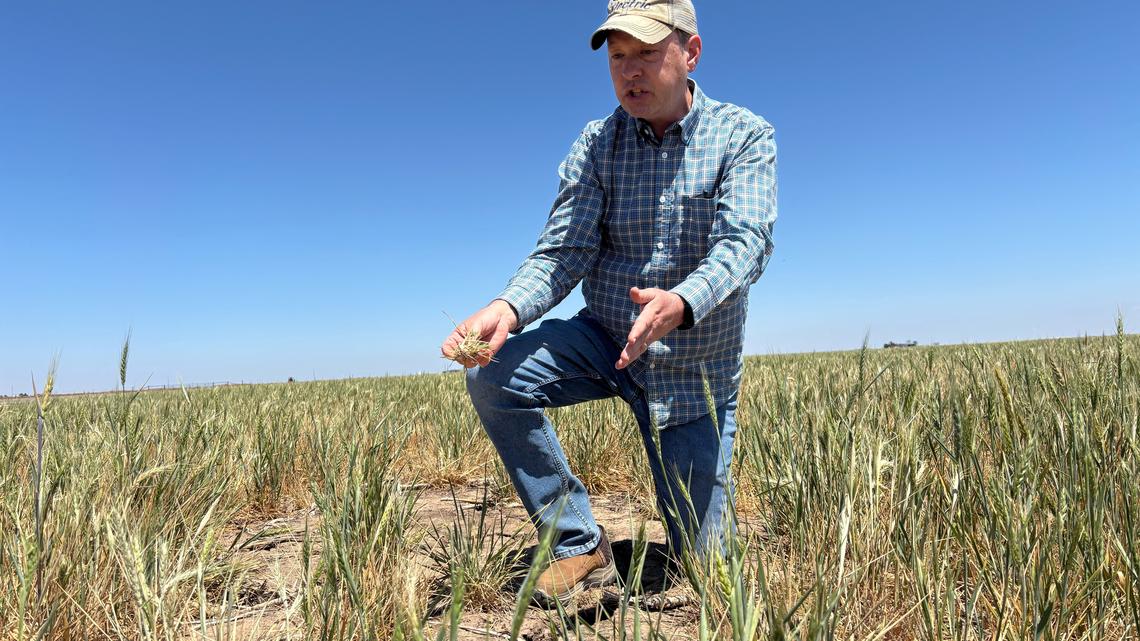 'Am I out?' Drought and rising costs from Iran war deepen pain for US farmers