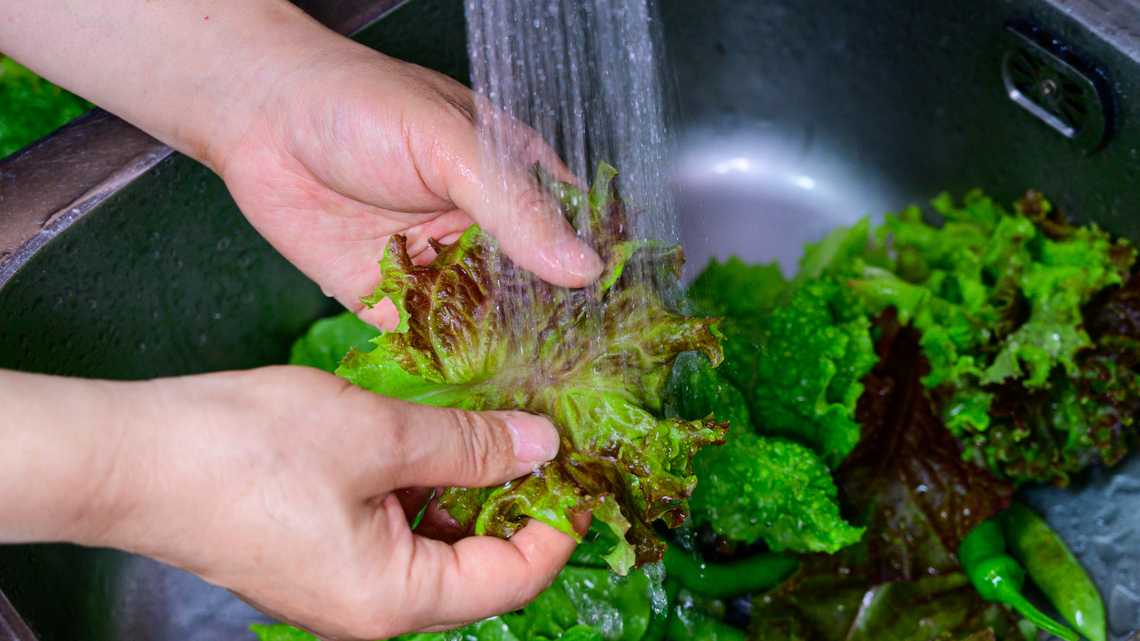 Worried about eating lettuce? How to stay safe in Tri-Cities