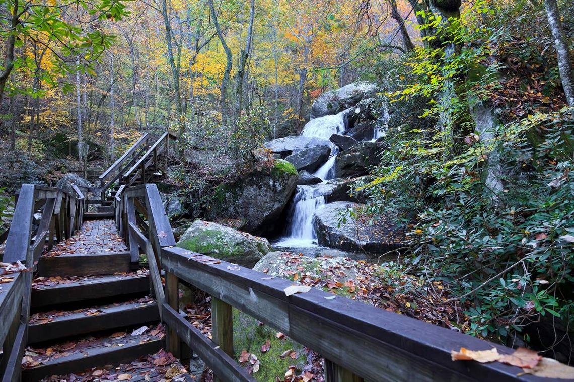  South Mountains State Park is rattlesnake country in North Carolina. 