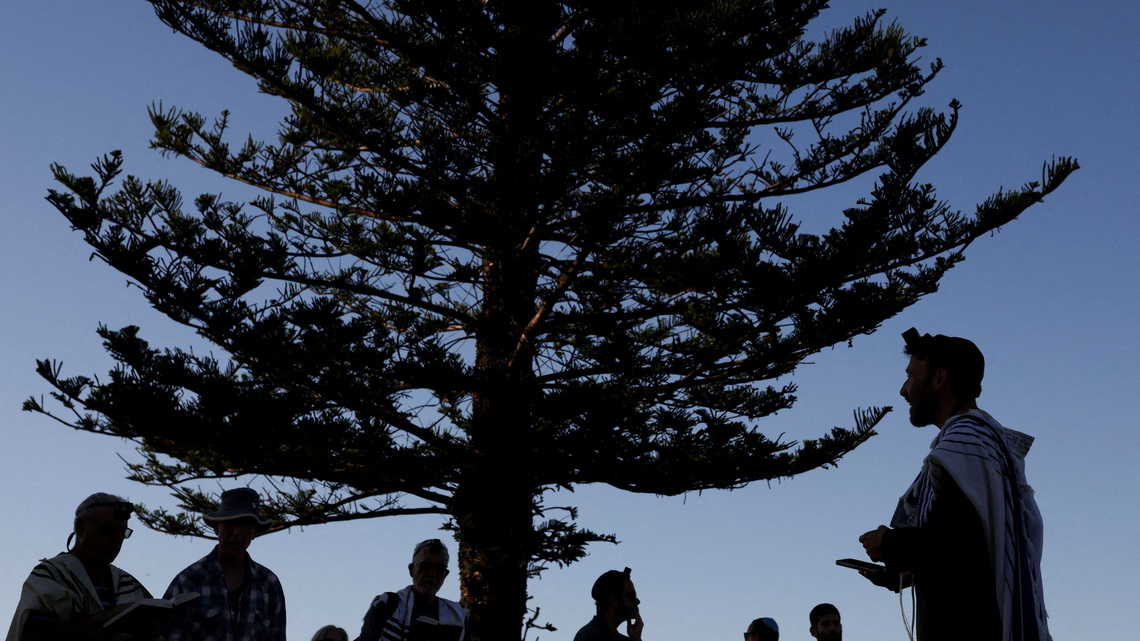 Australia's capital to join gun buyback in response to Bondi Beach attack, Albanese says 