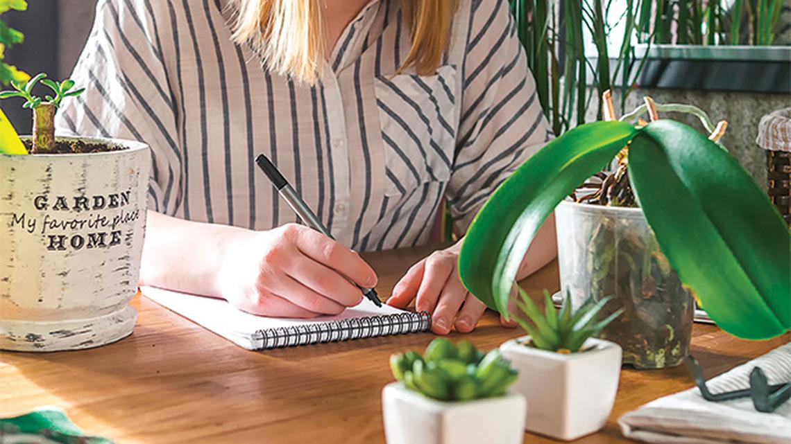 
        Start Planning Now for a Thriving Spring Garden
       