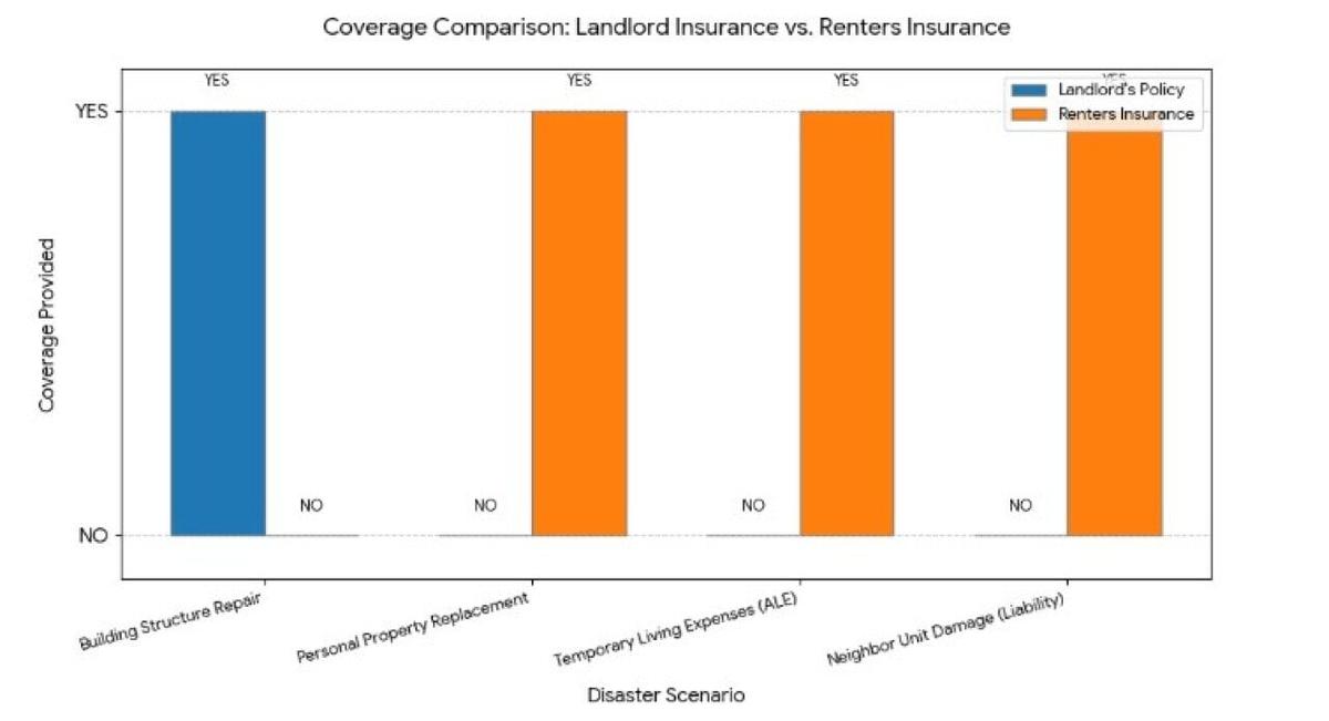  Cheap Insurance 