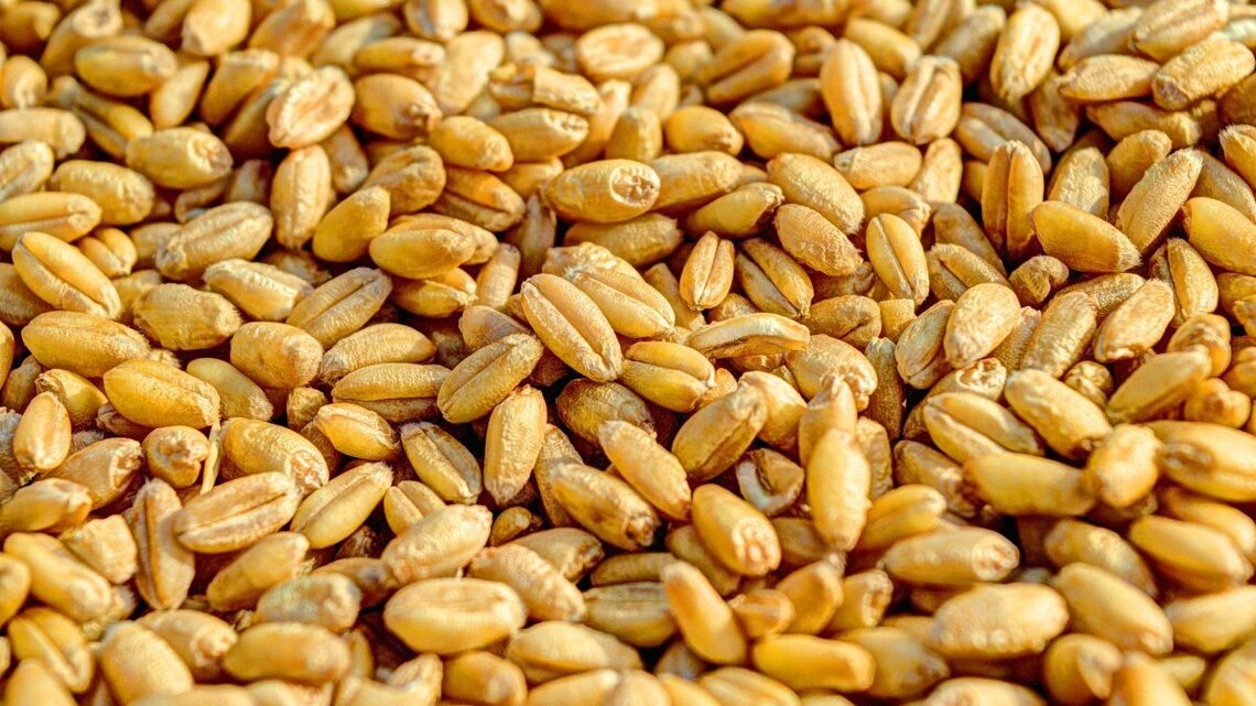 Ukraine hits Russian grain facilities prompting food price warnings