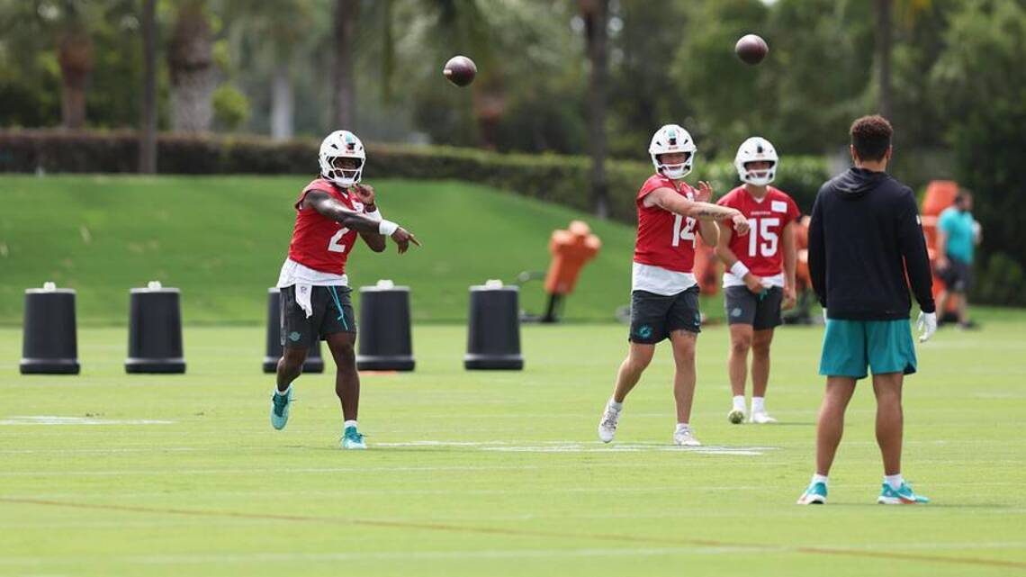 Examining a Very Intriguing Take on the Issue of Willis and Scheme Fit (And Quinn Ewers)