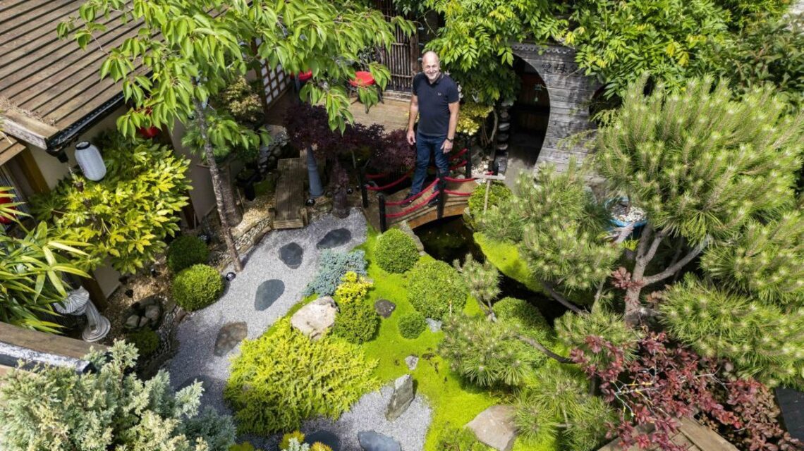 Dad spends $25,000 turning backyard into stunning Japanese garden