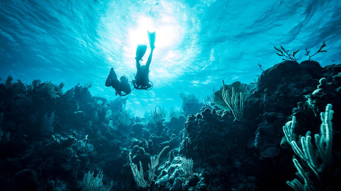 Booking excursions outside of your cruise line 