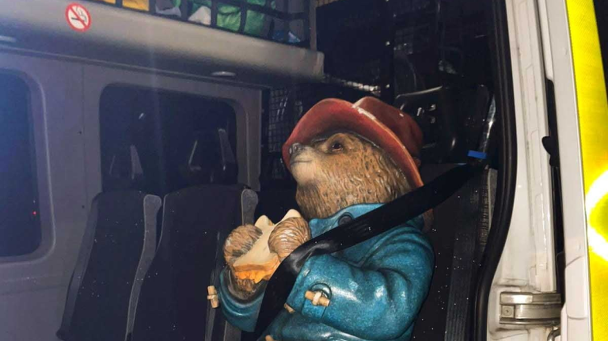 Paddington Bear in the police van. (SWNS). 