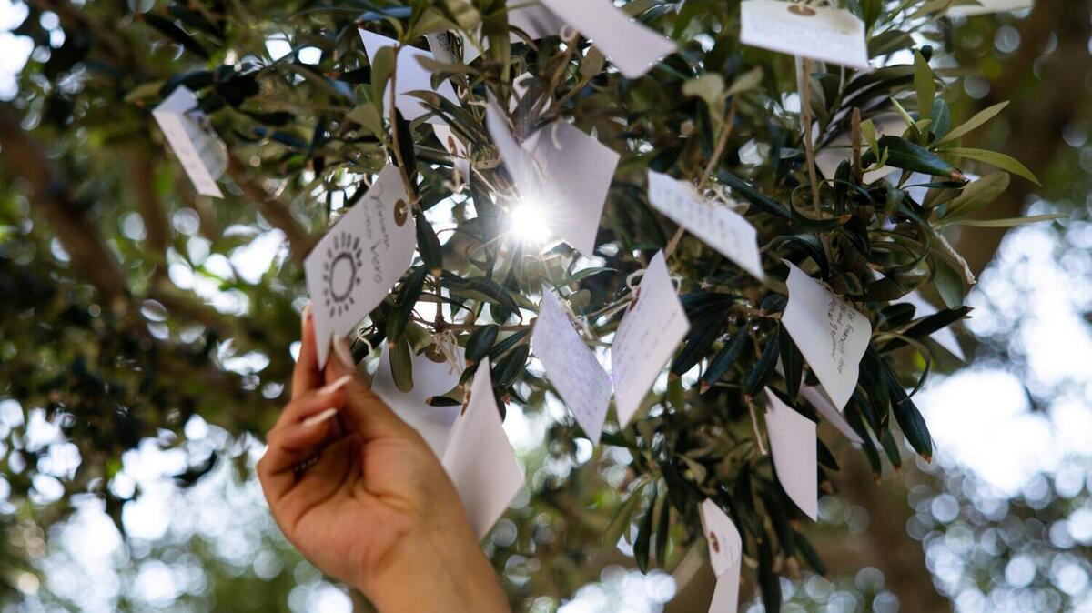 LOS ANGELES, CA - JUNE 04: Visitors tie paper tags bearing wishes onto trees in the courtyard of The Broad on Thursday, June 4, 2026, in Los Angeles, CA. Yoko Ono's "Wish Trees for Los Angeles," installation will be up from May 23 - October 11, 2026. (Kayla Bartkowski / Los Angeles Times)