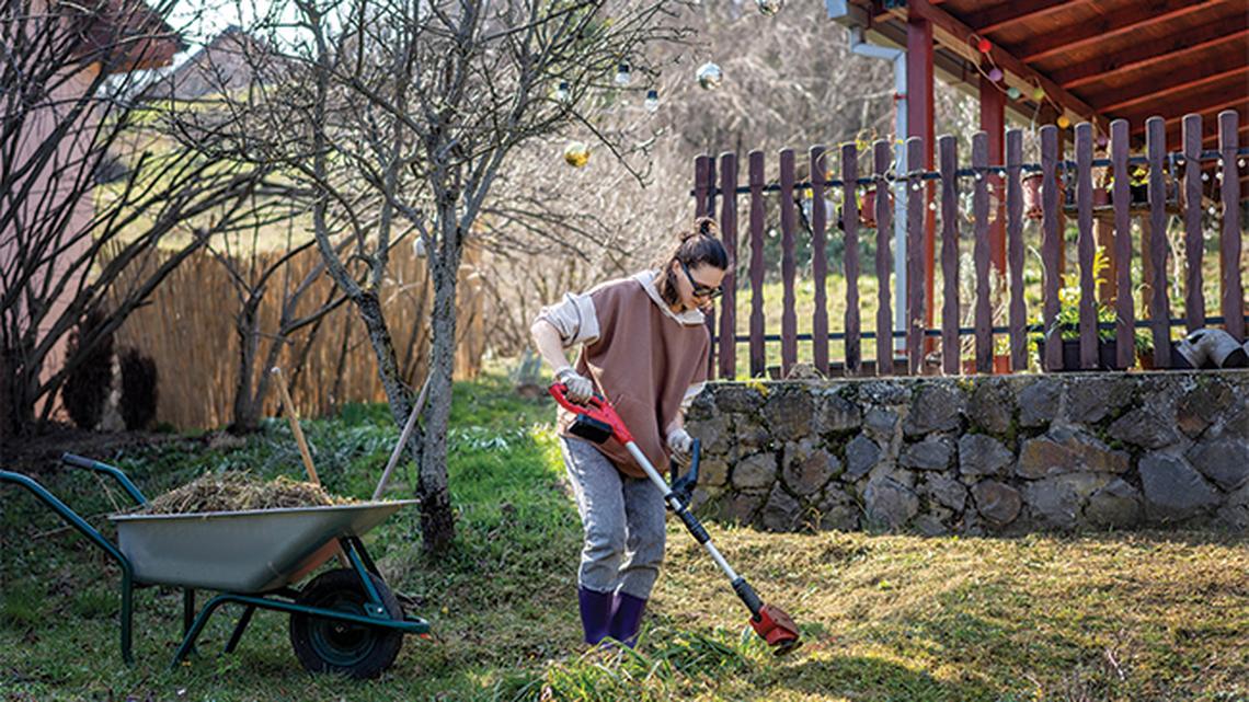 
        Ready, Set, Spring: 5 Smart Early-Season Yard Tips
       