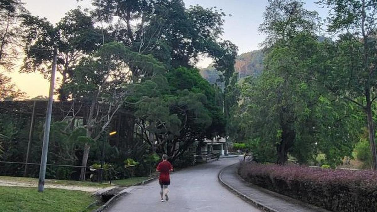 A middle-aged man jogs at a botanical garden in Penang, Malaysia. The Malaysian government is considering legislation that would require adult children to support aging parents. Photo by Asia Today