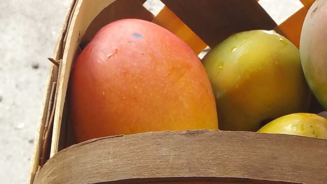 Gardening: It's time for summer tropical fruit 