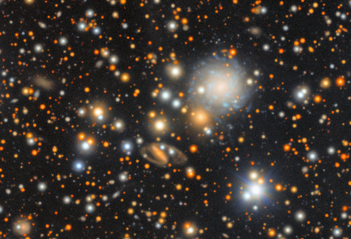 This is a section from a larger image the Vera C. Rubin Observatory captured referred to as the "ocean of stars." The view shows millions of multi-colored stars against a backdrop of galaxies close to the Milky Way’s plane, the crowded disk of the galaxy.