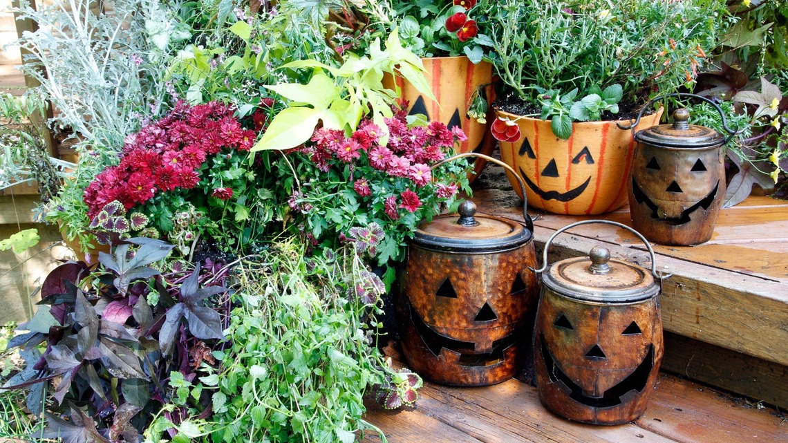 Move Over, Mums-These 7 Fall Porch Plants Look Just as Good and Last Longer 