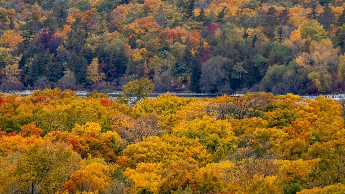 Door County, Wisconsin, Fall Activities You'll Absolutely Love
