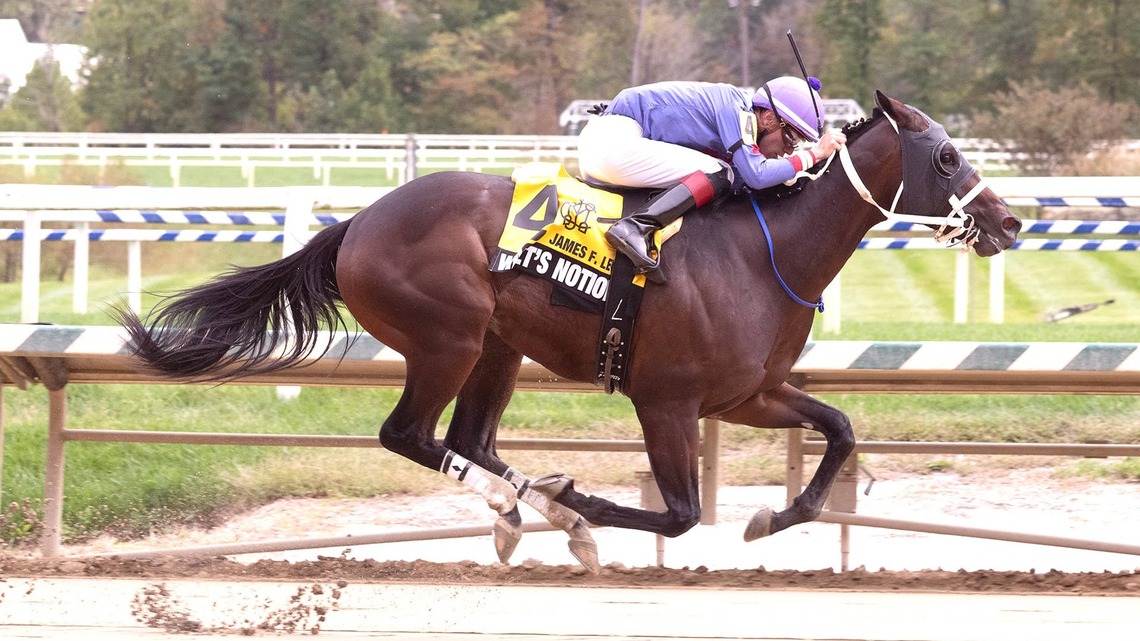 Walt's Notion, Aruba Ariba Square Off In Maryland Million Nursery