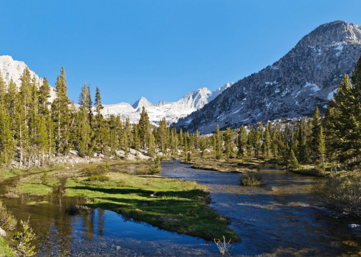  Patrick Poendl // Shutterstock 