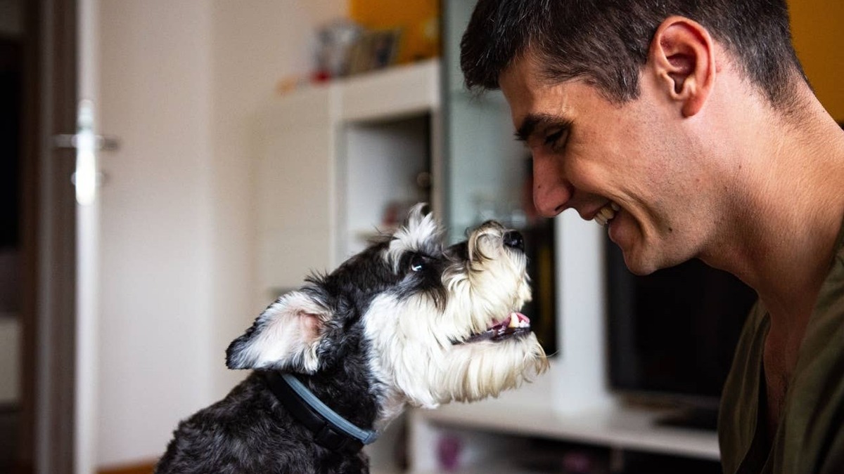 7 Loyal Dog Breeds for Single Men Who Want a Four-Legged Companion