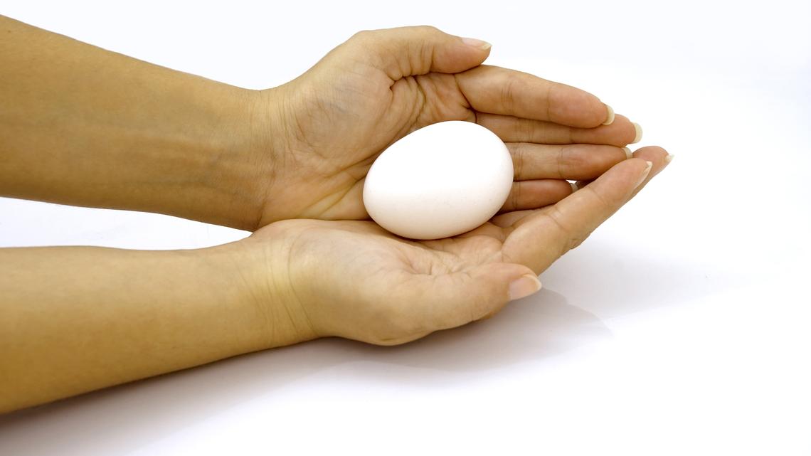 In late 2025, researchers from the Division of Allergy and Immunology at Children’s Hospital of Philadelphia reported that the prevalence of peanut allergies in children has “decreased significantly” in the years following the recommendations for early introduction of peanuts and eggs in a child’s diet. (Dreamstime/TNS)