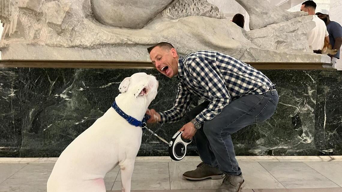 Minneapolis looks at making it easier for felons to own large dogs