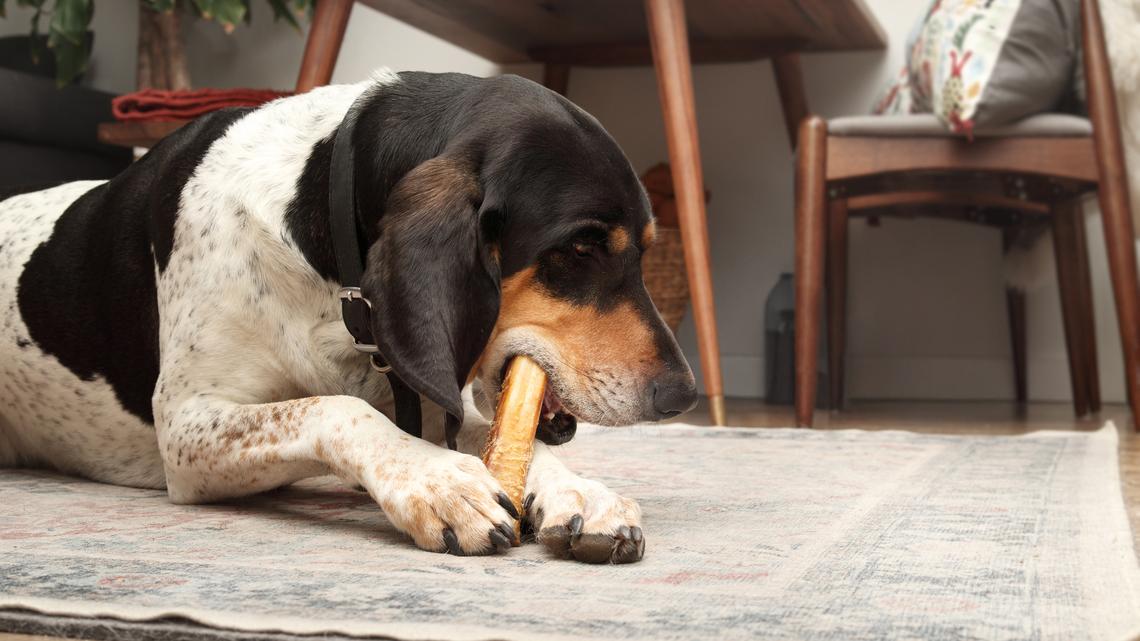 Bone Appétit! Get Up to 40% Off High-Value Pawstruck Dog Treats at Amazon 