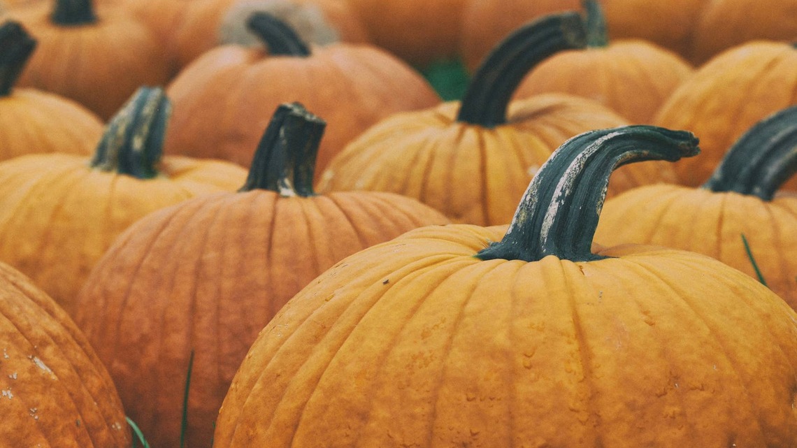 This Guy's Decorative Front Yard Pumpkins Look Store-Bought-They're Actually Made From Pool Noodles 
