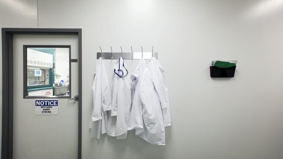 Self-censorship, more stress, tougher recruiting – we asked US researchers how the Trump administration's science policies have affected them 