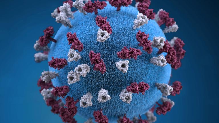 Merced County health officials say measles virus found in wastewater