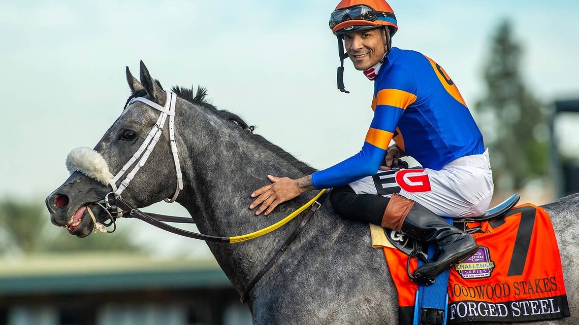 Goodwood Winner Forged Steel Joins Breeders' Cup Classic Rankings 