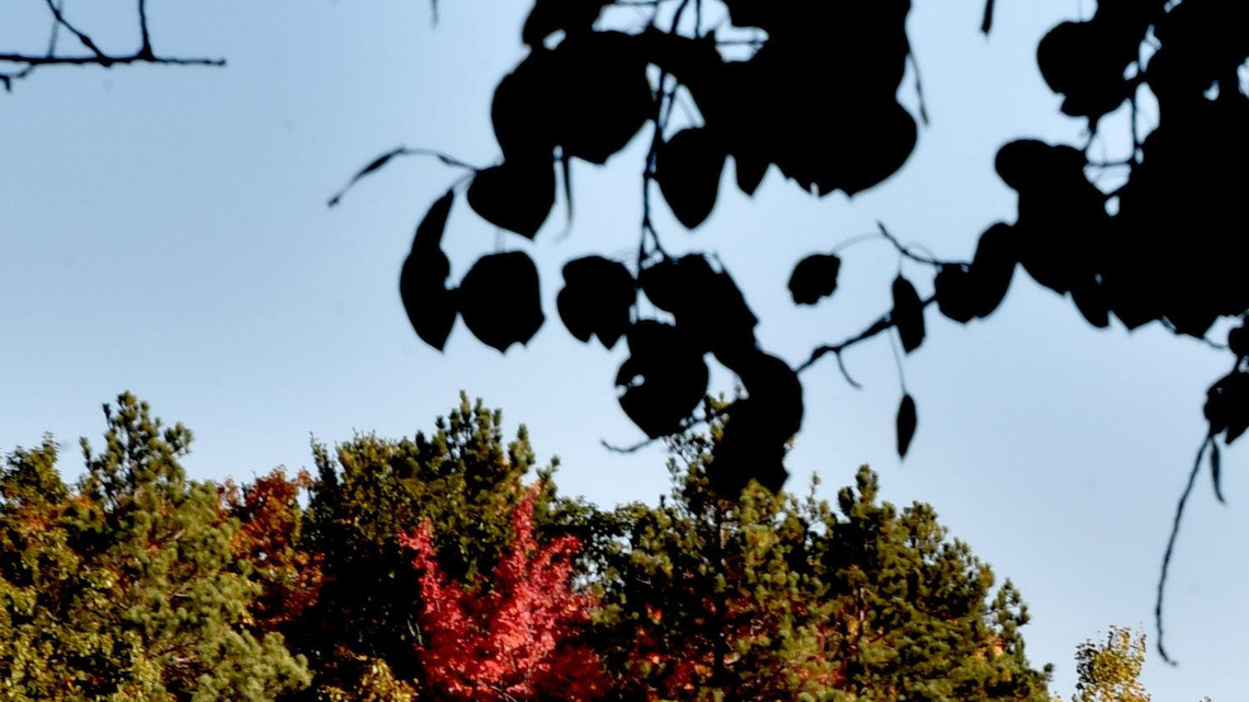 When can you see Michigan's fall color display? Timeline for fall foliage