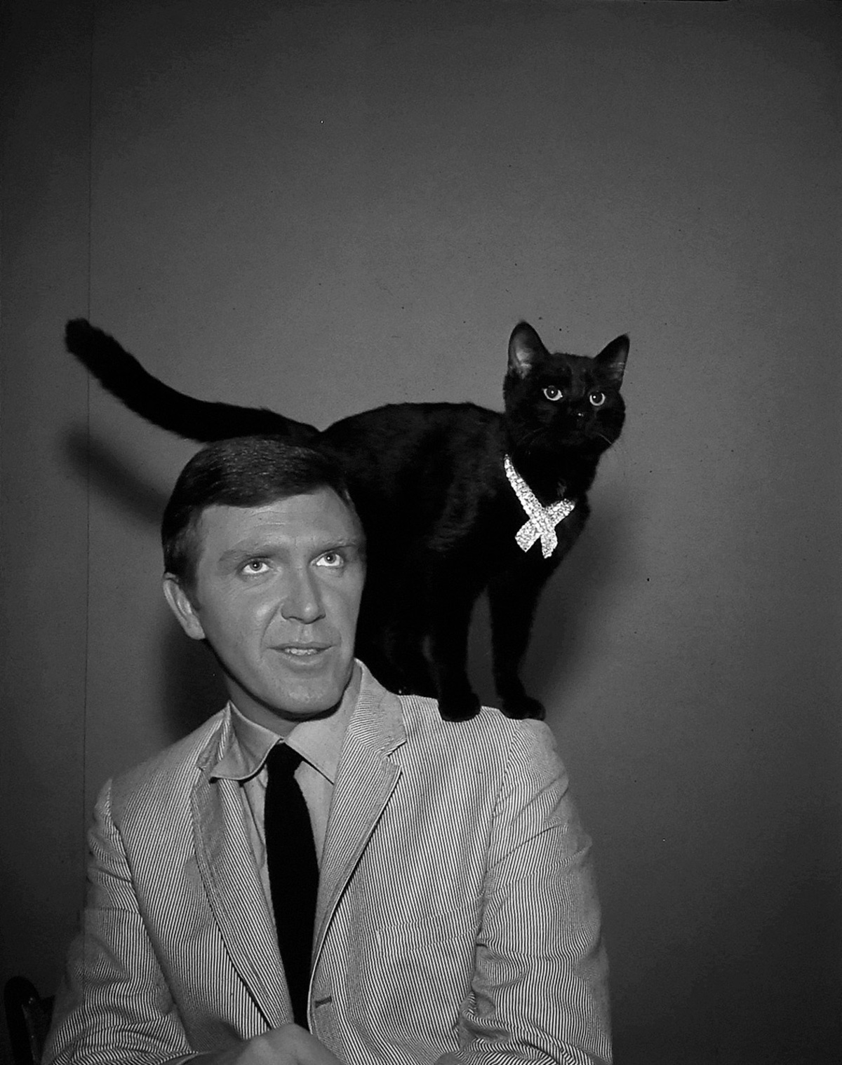 Robert Lansing as Gary Seven along with his cat, IsisRobert Lansing as Gary Seven along with his cat, Isis