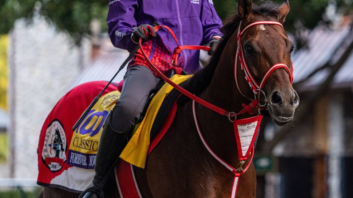 43,700 Miles To Race: Forever Young's Extraordinary Road To The Breeders' Cup 