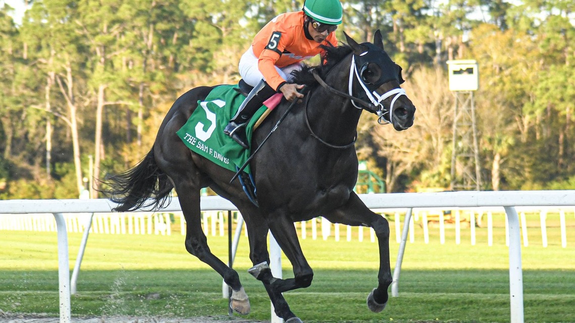Graded Winner No More Time To Enter Stud In Peru 