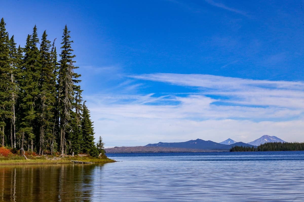  Waldo Lake's forested shoreline provides ideal habitat for several Oregon snake species.