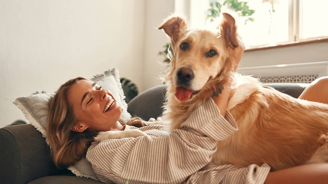 5 Emotional Traits That Make Dogs Such Incredible Companions, According to Experts 