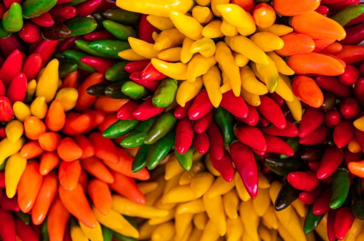  (Photo by José Barbosa via Pexels) 