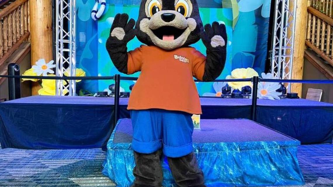 Great Wolf Lodge Sandusky 2026: 25th Birthday and Spring SplashFest Guide 