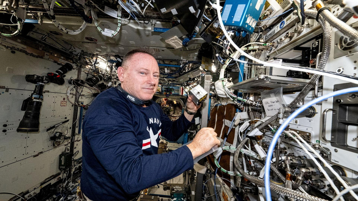 NASA astronaut Barry "Butch" Wilmore prepares to insert a bio-ink cartridge into Auxilium Biotechnologies' AMP-1 orbital 3D bioprinter on the International Space Station, in this undated handout image. Auxilium Biotechnologies/Handout via REUTERS