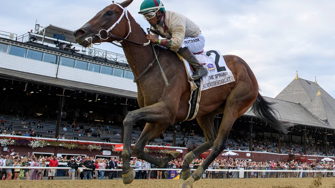 Undefeated Summer Starlet Headlines Alcibiades Stakes 