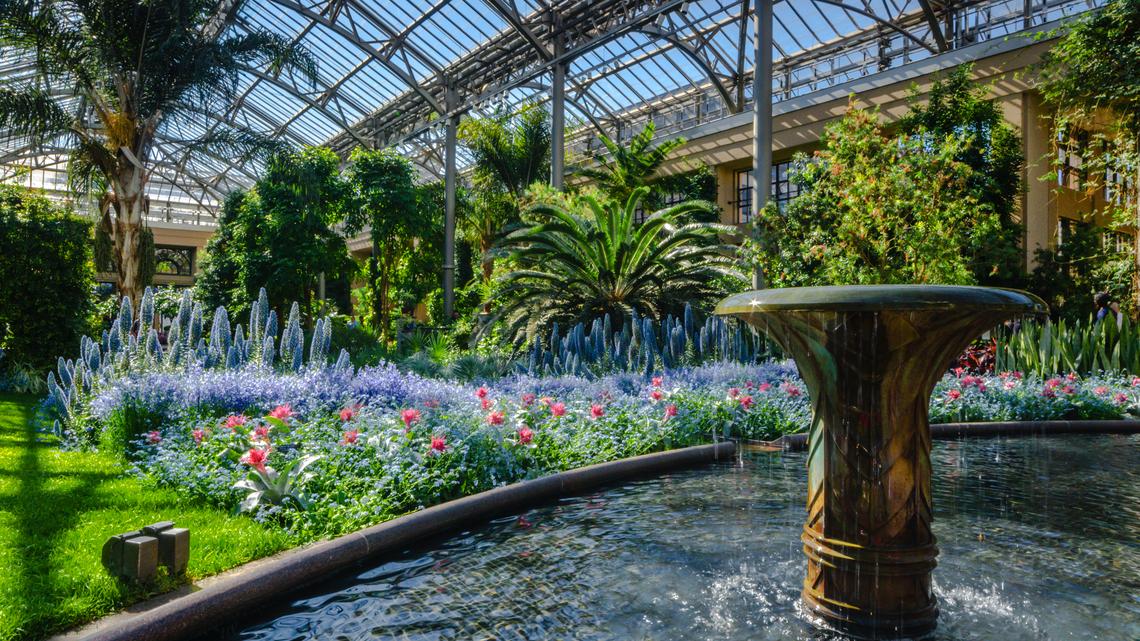 Family travel 5: Beauty is blooming