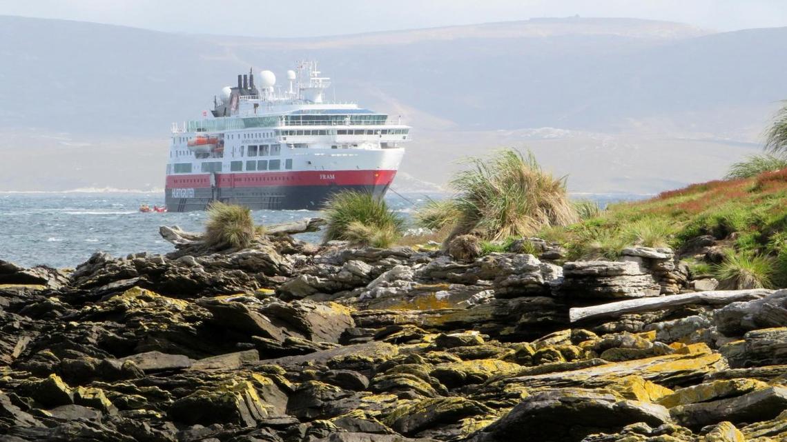 Chile backs Argentina's sovereignty claim over Falkland Islands 