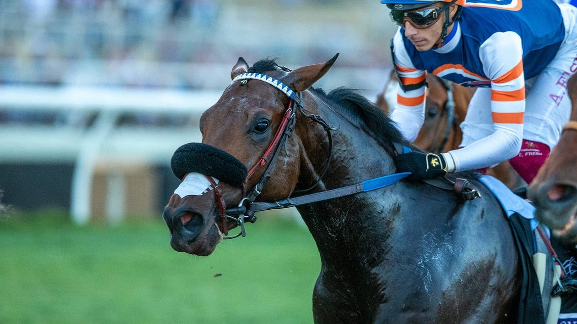 Phil D'Amato's Breeders' Cup Hopefuls Lead Santa Anita Work Tab 
