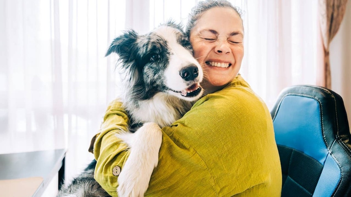 5 Incredibly Loyal Dog Breeds That Will Always Have Your Back, According to Experts 