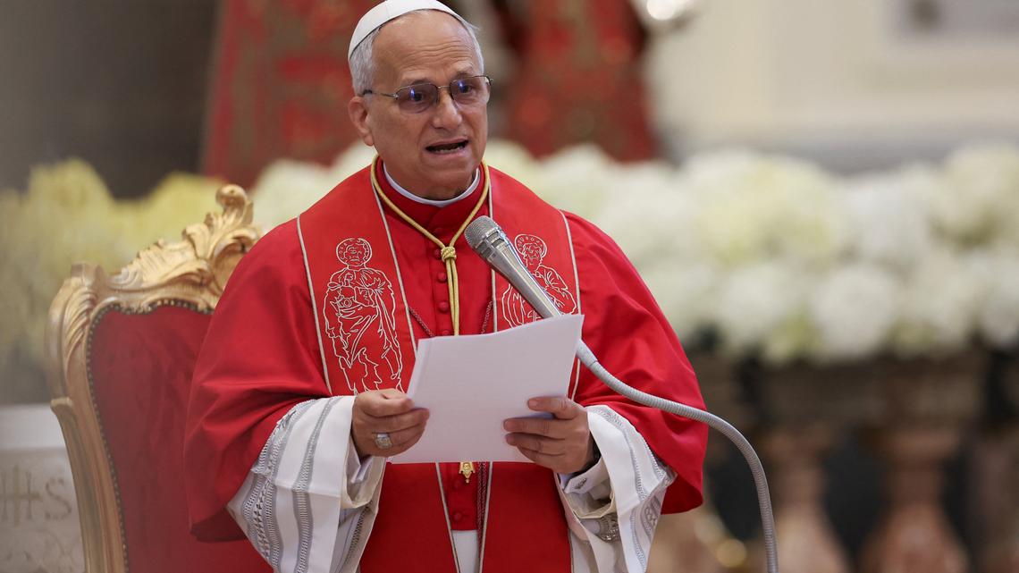 Pope Leo decries 'dizzying' profits earned by companies that pollute 