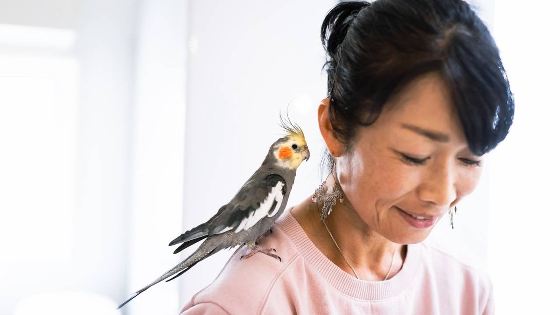 Are Cockatiels Good Pets? What a Bird Expert Wants You to Know