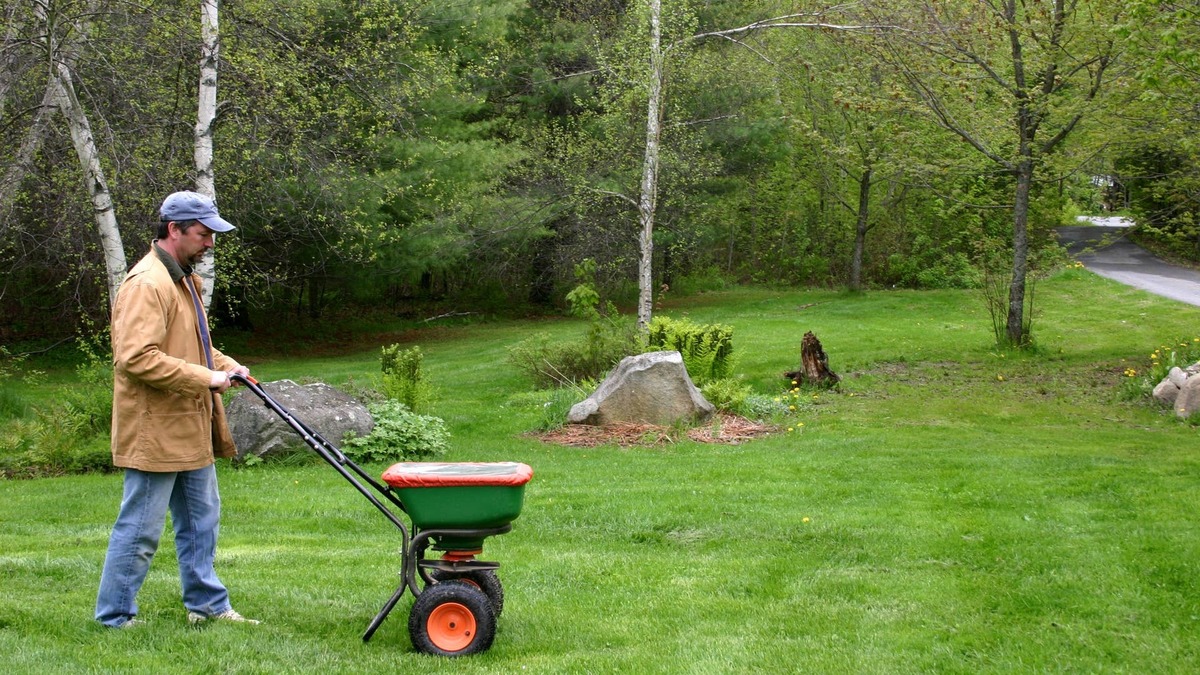 Your Lawn Needs One Last Feeding Before Winter-Here's What to Use